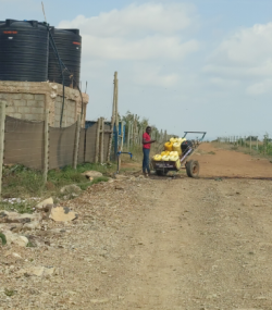 Local Residence Fetching water needed for basic needs